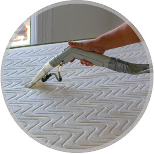 Area rug Cleaning Service Icon